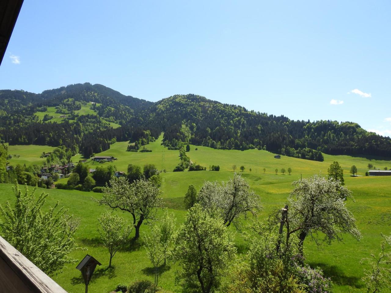 Bauernhof Hintenberg Itter Exterior foto